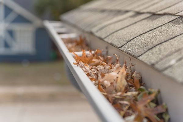 Leaf Barrier Installation in Palmetto